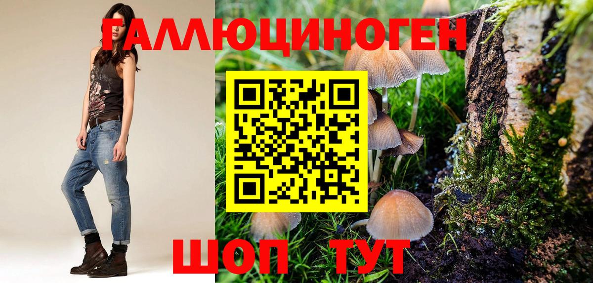 Псилоцибиновые грибы прущие грибы  Вход с VPN  Тосно 